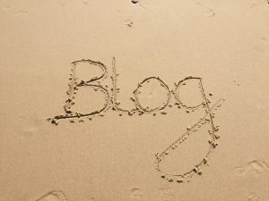blog, blogger, to blog